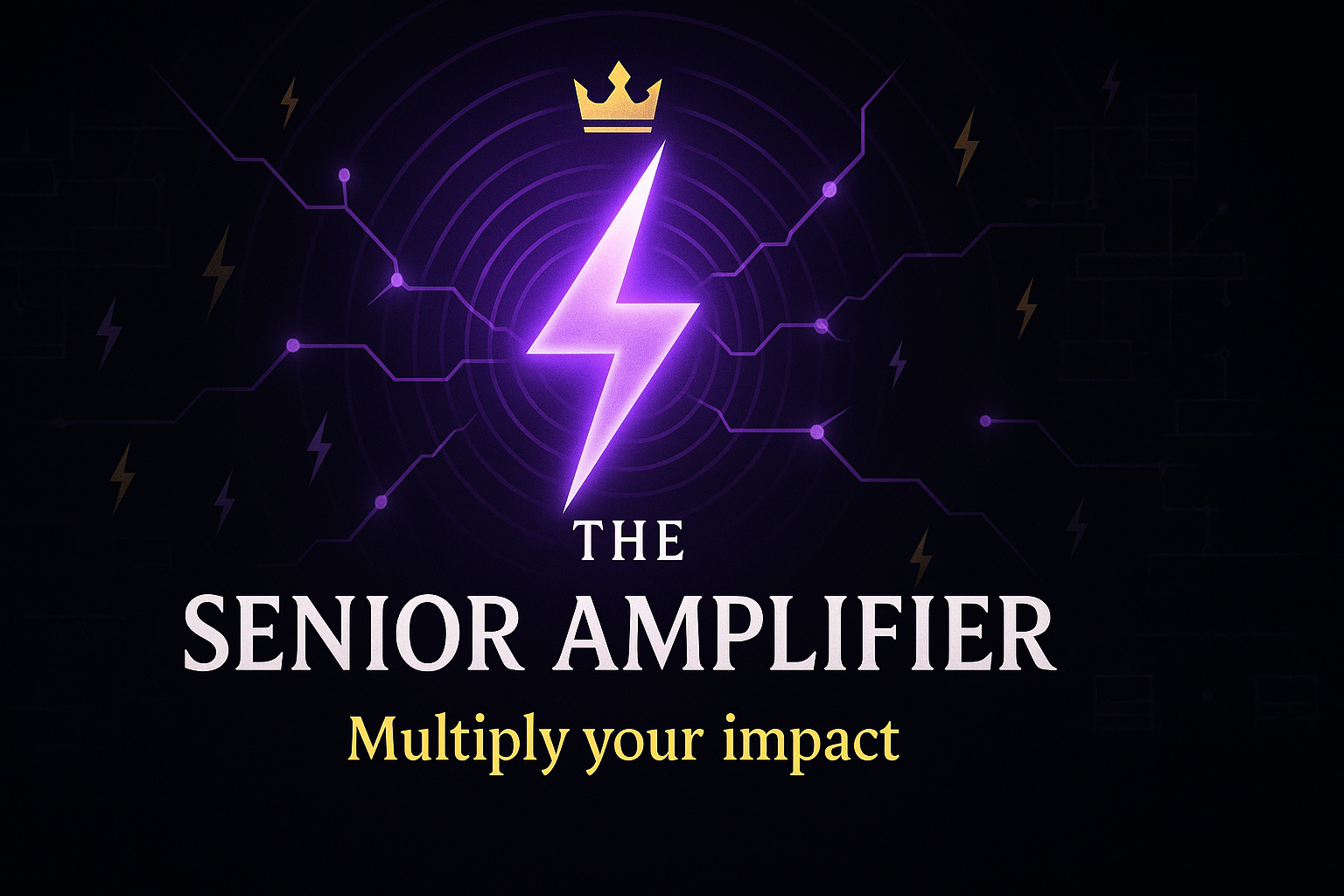 The Senior Amplifier